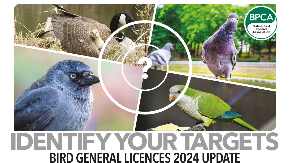 identify targets hero2 identify targets hero2